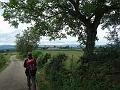 2010-05- (19)